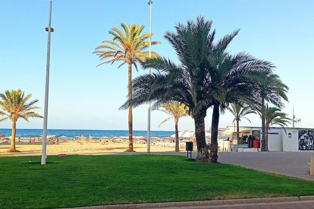 Apartamento, Estudio En La Playa Playa de Gandia Ngoại thất bức ảnh